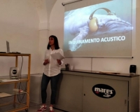 62307075_2314252728692014_7150486889839984640_n[1]