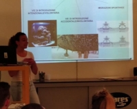 62484640_2314252645358689_5492291920564584448_n[1]