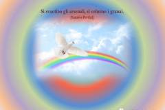 Donazione a Medici Senza Frontiere  ONLUS