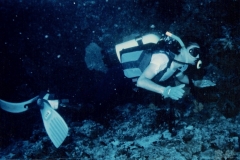 sub_maldive