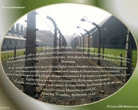 Il giorno della memoria 2019 a