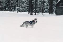 Luna0002 neve 2 Luna0002 neve 2