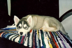 Menta_PG_1997 Menta_PG_1997