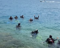 IMG-20210717-WA0039