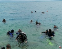 IMG_20210717_112459 IMG_20210717_112459
