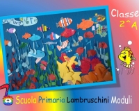 scuole primarie 2017